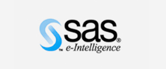 SAS商业智能管理软件